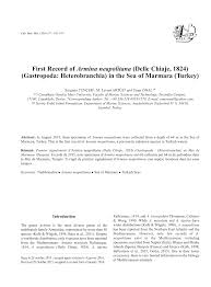 Vous y trouverez les meilleures pièces uniques ou vous êtes descendu jusqu'ici pour obtenir des informations sur baby foot png ? Pdf First Record Of Armina Neapolitana Delle Chiaje 1824 Gastropoda Heterobranchia In The Sea Of Marmara Turkey