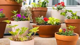 Container Gardening: Native and Pollinator-Friendly Plants
