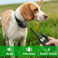 Things to look for when buying dog training collar. Petrainer 900b 3 Waterproof And Rechargeable 1000m Remote Dog Training Collar Shock For 3 Dog Dog Training Collar Interactive Cat Toys Dog Shock Collar