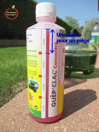 Lutte Contre Les Guepes Et Frelons Ma Passion Du Verger Frelon Piege A Guepe Piege A Frelon