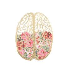 Science cross stitch patterns free. Floral Anatomical Brain Cross Stitch Pattern Cross Stitch Floral Brain Science Geeky Cross Stitch Floral Cross Stitch Pattern Zindagi Designs