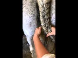 How To French Braid Horse Tail Basic Horse Braiding French Braid French Braids Tutorial