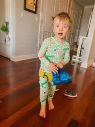 Potty training made fun and easy. Potty Training A Boy The Fox She Lifestyle Blog