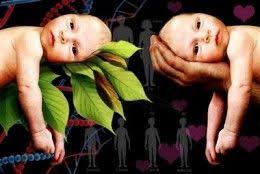 Nature Vs Nurture Debate Nature Vs Nurture Psychology Developmental Psychology