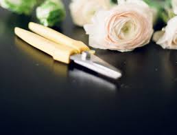 Zip code 27615 is located in northern north carolina and covers a slightly less than average land area compared to other zip codes in the united states. Workshops Creative Raleigh Nc Wedding Flowers By Eclectic Sage