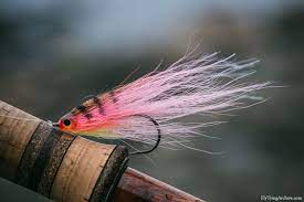 Fly Tying Archive Saltwater Flies Fly Tying Fish