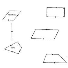 All sides are the same length. A Worksheet On The Family Of Quadrilaterals Download Scientific Diagram