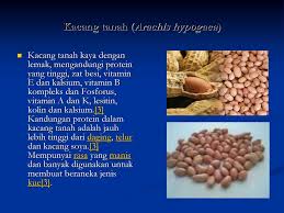 We did not find results for: Kacang Kacangan Dan Hasil Olahannya Ppt Download
