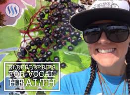 Elderberry wine, elderberry wine, elder, elderly. Elderberry Juice Vocal Salvation Steemit