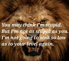 You May Think I M Stupid But I M Not As Stupid As You I M Not Going To Sink So Low As To Your Level Again Im Stupid Stupid Movie Posters