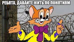 images?q=tbn:ANd9GcSZIb6yDvvfOVS0JKHPeoF60pYH4itotFQSbm3PPoEgSJqvsHD9