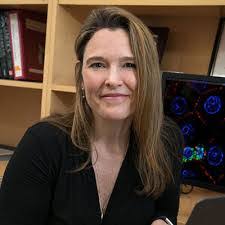 Leanne Levine's Instagram, Twitter & Facebook