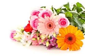 Bellissima raccolta di frasi e immagini di buongiorno da scaricare e condividere sui social. Foto Mazzo Di Fiori Immagini E Vettoriali