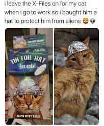 Funny Random Meme And Twitter Dump Memes Funny Jokes I Go To Work