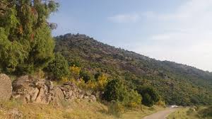 Por Los Caminos 1 San Vicente Camino Toledo