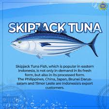 Hasil tangkapan bagi nelayan piggir pantai biasanya kecil dan sedikit. Jenis Ikan Andalan Ekspor Indonesia