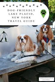 Lake Placid New York Pet Friendly Travel Guide Dog Friendly Vacation Lake Placid New York Lake Placid