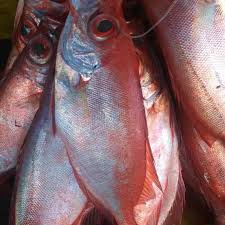 Bersihkan ikan lalu goreng, sisihkan. Jual Ikan Merah Ikan Mata Goyang 1 Kg Kota Bogor Ecostore1 Tokopedia
