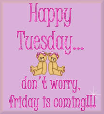 Maybe you would like to learn more about one of these? Animals With Quotes About Tuesday Quotesgram