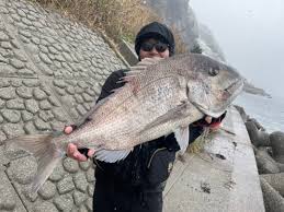 北陸 釣り ブログ