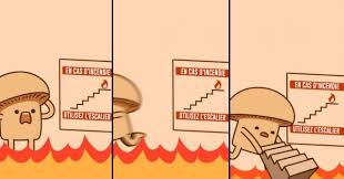 Top 10 Des Illustrations Cool De Mushroom Movie Vous Avez Dit Absurde Illustrations Drole Humour
