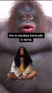 These tiktok meme compilations are so funny and remind me of vine! What Is The Tiktok Monkey Pfp Quora