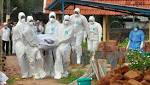  What is Nipah virus? Deadly brain-damaging virus spreads in India