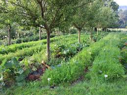 Qu Est Ce Que La Permaculture La Definition Permaculture Design De Jardin Potager Ferme Permaculture