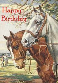 Happy birthday horse images in hd. Happy Birthday Greetings Card Beautiful Horse Two Horses Ebay