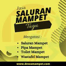 Maybe you would like to learn more about one of these? Jasa Saluran Mampet Semarang Mampetsemarang Twitter