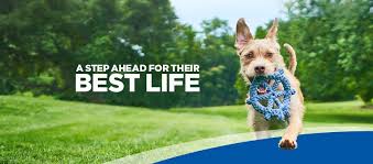 Hill S Pet Nutrition Singapore Home Facebook