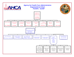 Sample Home Health Agency Organizational Chart Www