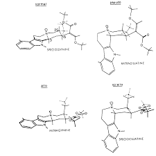 Image result for Mitragyna rubrostipulata