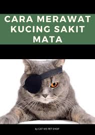 Yang perlu untuk kita siapkan ketika akan merawat kucing adalah. Cat Me Cara Merawat Kucing Yang Sakit Mata Di Rumah Facebook