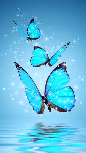 Aesthetic Blue Butterfly Wallpaper Free download high quality and widescreen resolutions desktop background images. aesthetic blue butterfly wallpaper
