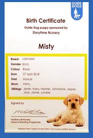 3 easy steps to display your puppies birth certificate 1. Birth Certificate Storytime Nursery Onchan Isle Of Man