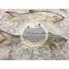 Alibaba.com offers 715 ikan senangin products. Yellow Threadfin Ikan Senangin Shopee Malaysia
