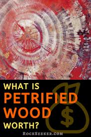 When shopping for petrified wood online, keep a lookout for ongoing promotions to get the most value out of your purchase. How Much Is Petrified Wood Worth Plus What Affects Value Petrified Wood Rock Hounding Wood