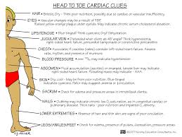 Head To Toe Cardiac Clues Nursing Mnemonics Medical Surgical Nursing Nursing Mnemonics Surgical Nursing