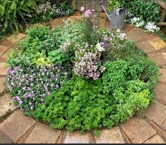 Pin On Beautiful Vegetable Gardens