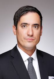 Reference Citation Analysis: Find an Article, Find a Category, Find a  Journal, Find a Scholar