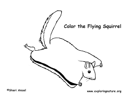 After purchasing you will receive an instant download of coloring pages you get: Squirrel Flying Coloring Page
