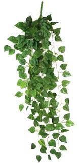 Umiwe Tm Artificial Fake Hanging Vine Plant Leaves Garland Home Garden Wall Decoration Green With Umiwe Ac Natural Home Decor Garden Wall Decor Natural Homes