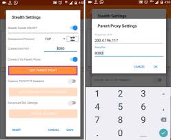 There are many people who like to download apps for free, especially those that do not require payment. Anonytun Vpn Apk Gratis Para Android Version Del 2021 Pro