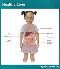 Hepatoblastoma is rare, diagnosed in fewer than one in a million children. Liver Cancer In Children And Teens Together