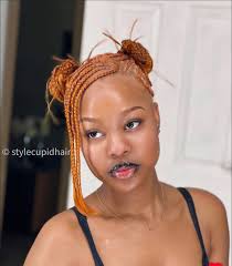 Hair braiding services with prices and pictures