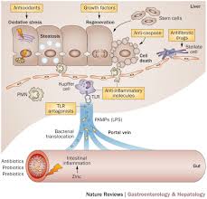 Image result for Maddrey Discriminant Function
