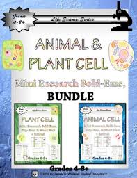 Animal Plant Cell Interactive Research Fold Ems Flip Ems Word Wall Bundle Plant Cell Word Wall Animal Cell
