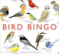 Birds Of North America Poster Amazon Bird Bingo Christine Berrie 9781856699174 Amazon Com Books Bingo Birds