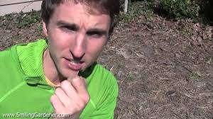 What Is Soil Made Of And How Does Soil Form?